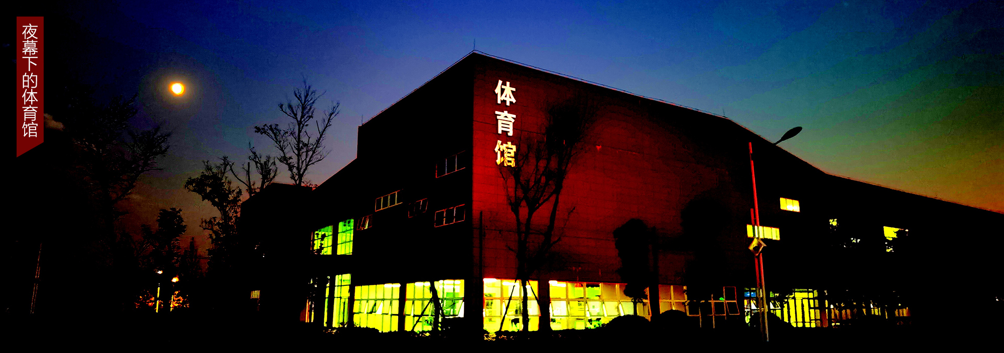 tiyuguanyese.jpg